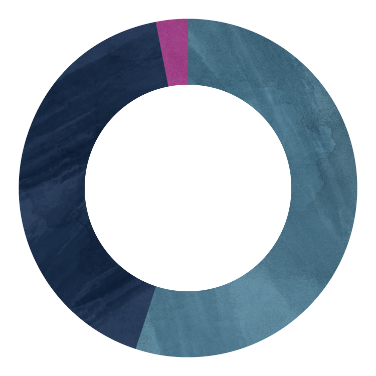 AMDF-Decorative-Chart-2